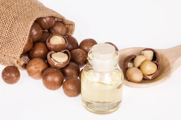Macadamia fındık yağı veya beyaz zemin üzerine Avustralya ceviz