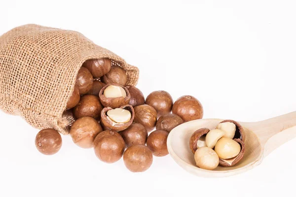 Macadamia fıstığı veya beyaz zemin üzerine Avustralya ceviz