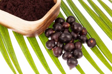 Meyve ve acai tozu - Euterpe oleracea