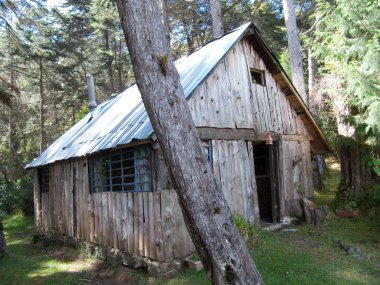 mimari, ormanın ortasında kır evi