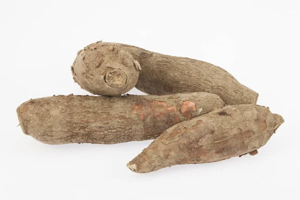 Сырая Юкка Белом Фоне Manihot Esculenta Cassava Raw Tuber — стоковое фото