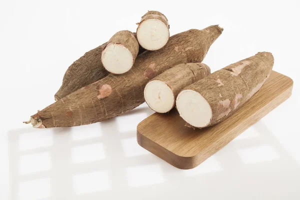 Raw Κρινοειδές Φυτό Και Άνθος Λευκό Φόντο Manihot Esculenta Cassava — Φωτογραφία Αρχείου