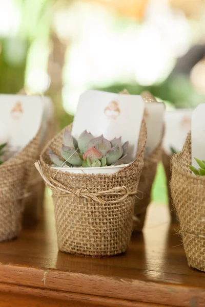 Primer Plano Los Regalos Para Los Invitados Fiesta — Foto de Stock