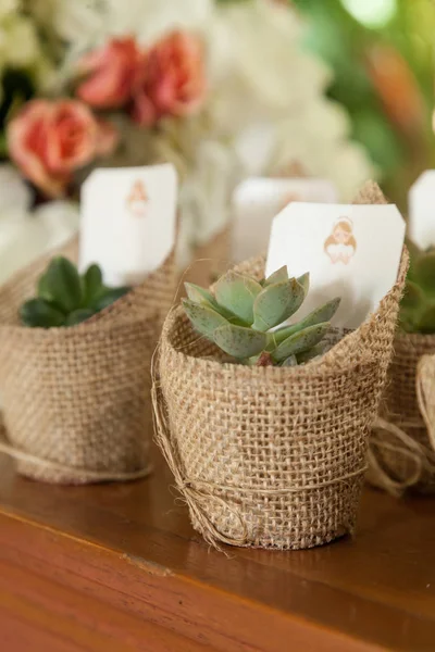 parti konukları için hediyelerin yakın çekim