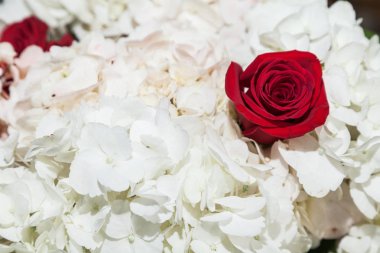 Dekor; sosyal olay için çiçek aranjmanı - düğün