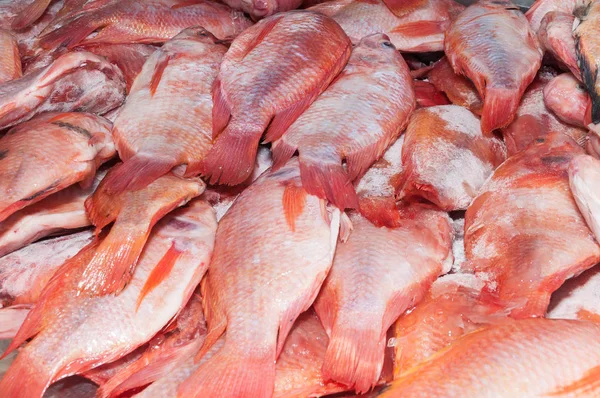 Fish Red Tilapia Red Mojarra Oreochromis — Stock Photo, Image