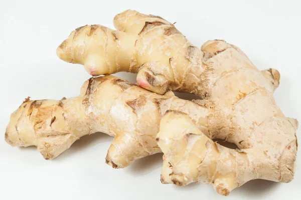 Ginger Spice Root Zingiber Officinale Photo Neutral Background — Stock Photo, Image