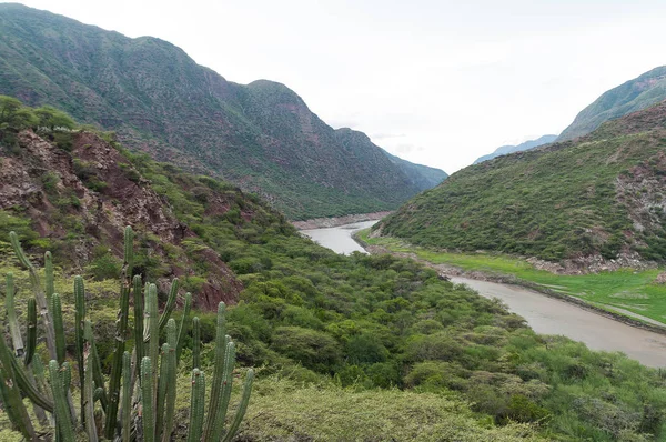 rivera de rio nature between the mountains; Rio Chicamocha in Colombia.