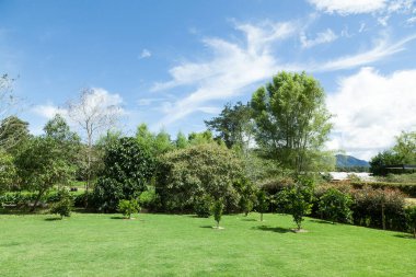 Ağaçlarla ve mavi gökyüzüyle güzel doğal manzara.