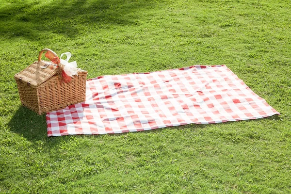 Picnic Basket Red White Tablecloth Green Lawn — Stock Photo, Image