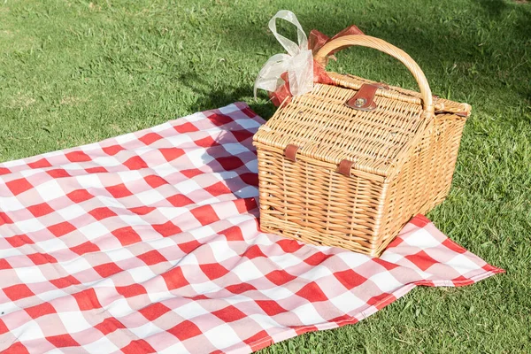 Piknik Kosár Piros Fehér Terítővel Zöld Gyepen — Stock Fotó