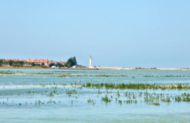 Le Crotoy, Fransa - 08 11 2025: Le Hourdel deniz feneri, sakin deniz, yeşil bataklık ve açık mavi gökyüzünün altındaki köy Sahil Manzarası.