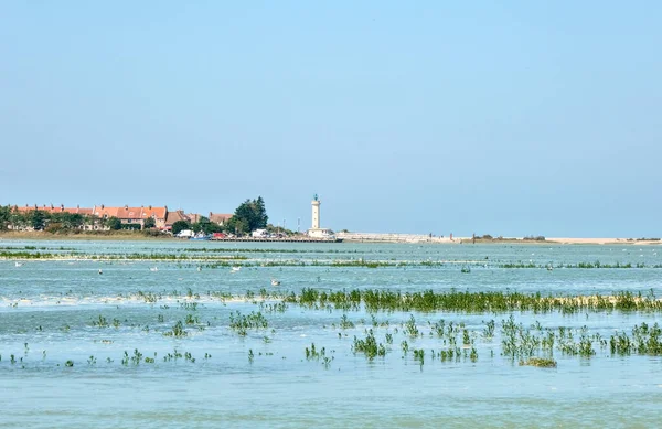 Le Crotoy, Fransa - 08 11 2025: Le Hourdel deniz feneri, sakin deniz, yeşil bataklık ve açık mavi gökyüzünün altındaki köy Sahil Manzarası.
