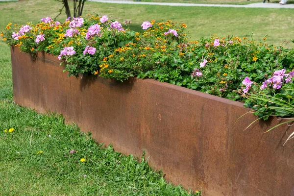 Çimenlikte canlı çiçeklerle dolu paslı korse çeliği ekicisi, endüstriyel dokuyla bahçedeki doğal rengi harmanlıyor..