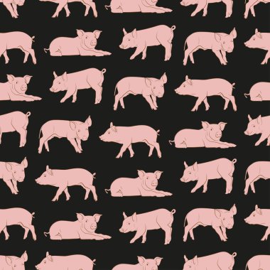 domuz seamless modeli siyah arka plan üzerine izole