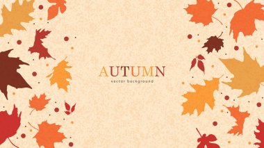 Mevsimsel arka planda düşen sonbahar yeşillik vektörü. Akçaağaç ve meşe yapraklarıyla sıcacık renklerde sonbahar afişi