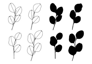 Beyaz arka planda izole edilmiş okaliptüs dallarının çizimi ve silueti. El çizimi botanik illüstrasyon.