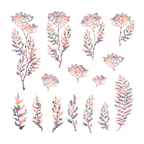 Conjunto de ilustrações de plantas, plantas e esboços de flores —  Vetores de Stock
