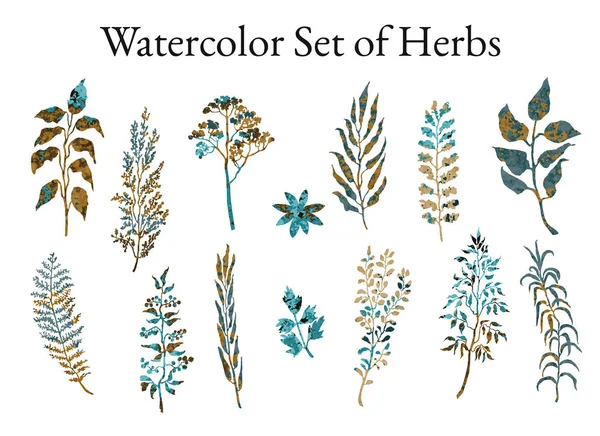 Иллюстрационный набор трав, растений и цветов — стоковый вектор