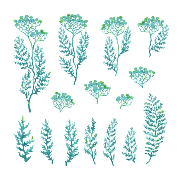 Illustration uppsättning av örter, växter och blommor skisser — Stock vektor