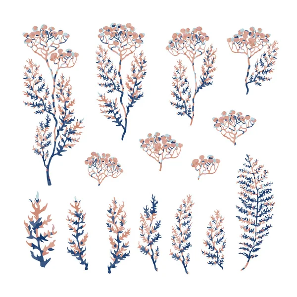 Ensemble d'illustrations d'herbes, de plantes et de fleurs croquis — Image vectorielle