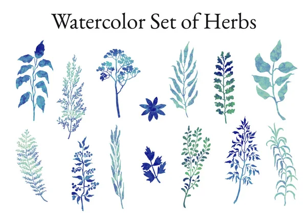 Ілюстрація набір трав, рослин та квітів Ескізи — стоковий вектор