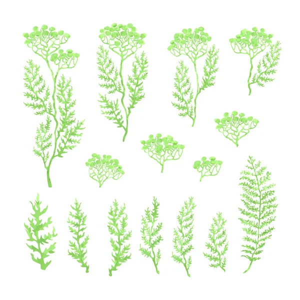 Ensemble d'illustrations d'herbes, de plantes et de fleurs croquis — Image vectorielle