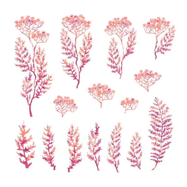 Ensemble d'illustrations d'herbes, de plantes et de fleurs croquis — Image vectorielle