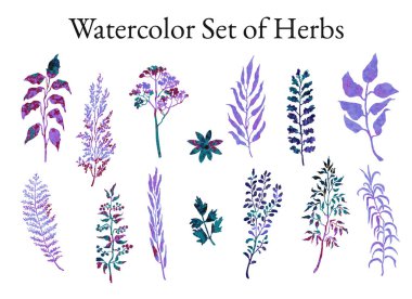 Otlar, bitkiler ve çiçekler skeçler kümesi illüstrasyon