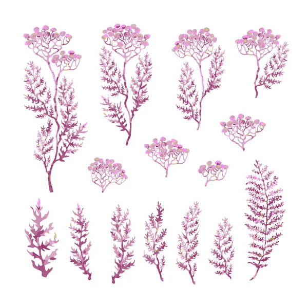 Conjunto de ilustrações de plantas, plantas e esboços de flores —  Vetores de Stock