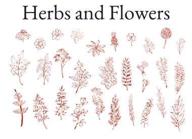 Otlar, bitkiler ve çiçekler skeçler kümesi illüstrasyon