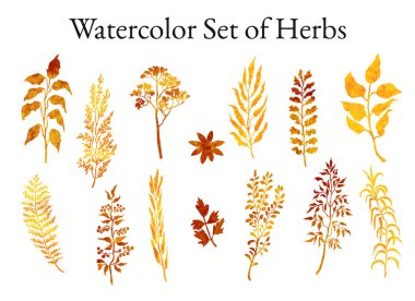 Otlar, bitkiler ve çiçekler skeçler kümesi illüstrasyon