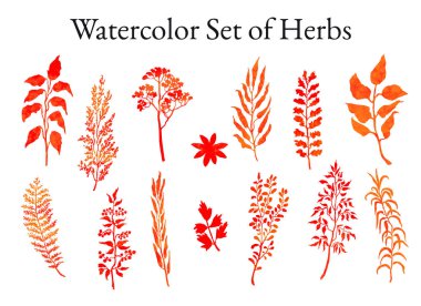 Otlar, bitkiler ve çiçekler skeçler kümesi illüstrasyon