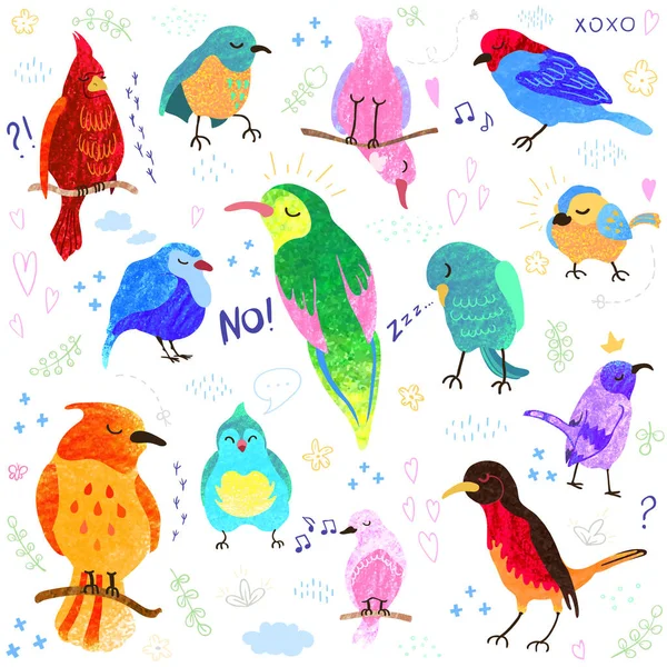 Ensemble de mignons petits oiseaux colorés isolés sur fond blanc — Image vectorielle