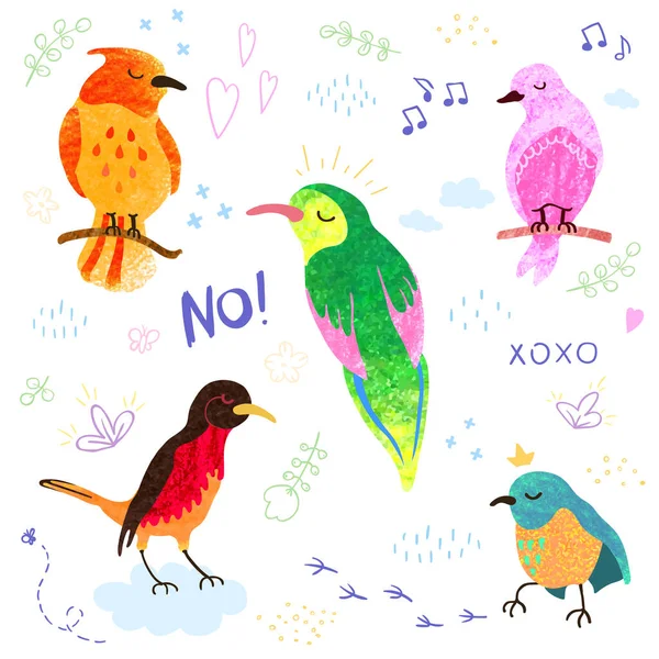 Набор милых маленьких красочных птиц на белом фоне — стоковый вектор