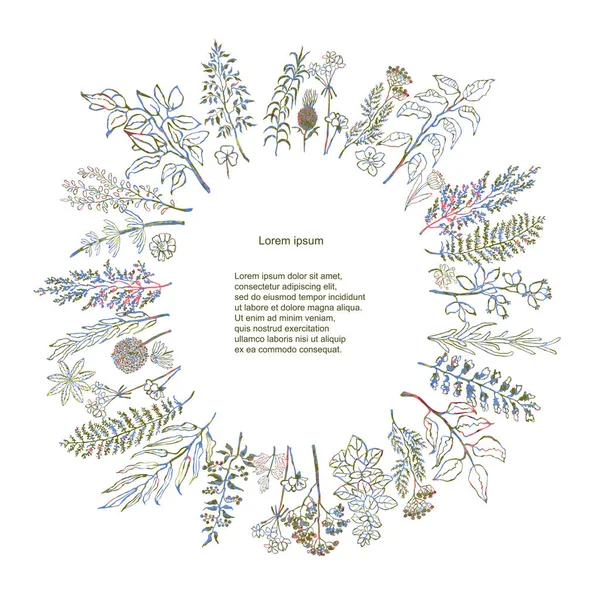 Барвисті ілюстрації квіткового і трав'яного вінка — стоковий вектор
