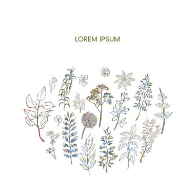Bitkiler ve çiçeklerle birlikte çiçek vektör şablonu