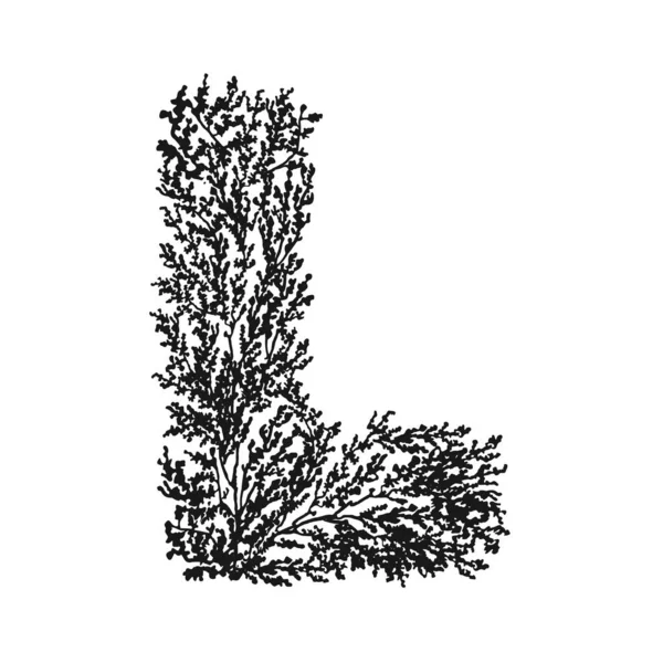Черно-белая цветочная иллюстрация рукописной буквы L — стоковый вектор