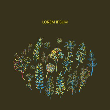 Bitkiler ve çiçeklerle birlikte çiçek vektör şablonu