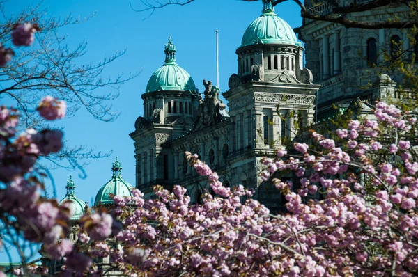 Victoria British Columbia Parlamento Binası, Vancouver Island, Kanada baharda kiraz ağaçları çiçeklenme ile