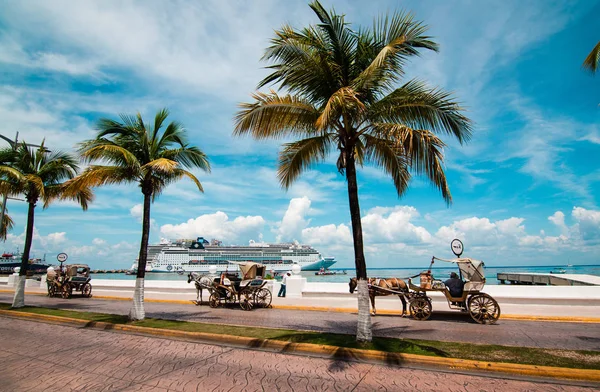 Carruajes Tirados Por Caballos Antiguos Estacionados Largo Calle Malecón Isla — Foto de Stock