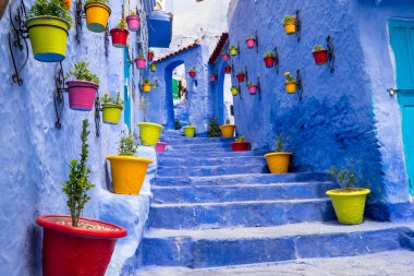 Afrika, Kuzey Afrika, Fas, Chefchaouen veya Chaouen en küçük dar sokakları için kaydetti ve mahalleler boyalı canlı mavi renkler çeşitli. Renkli tencere plantings dar koridorları çizgi.