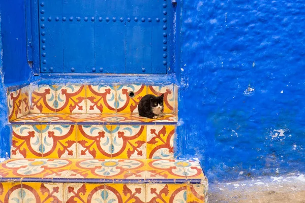 África Del Norte Marruecos Chefchaouen Chaouen Más Conocida Por Sus — Foto de Stock