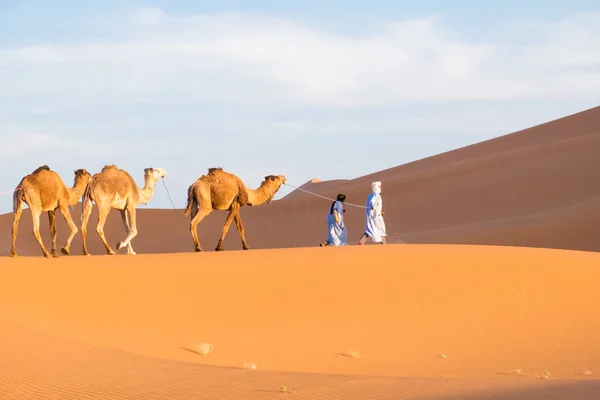 Marokko Erg Chegaga Oder Chigaga Ist Eine Saharanische Düne Bis — Stockfoto