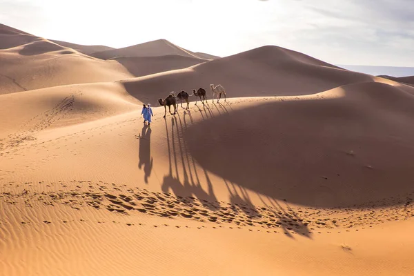 Марокко Эрг Чегага Тигага Сахарская Песчаная Дюна Шириной Самая Большая — стоковое фото