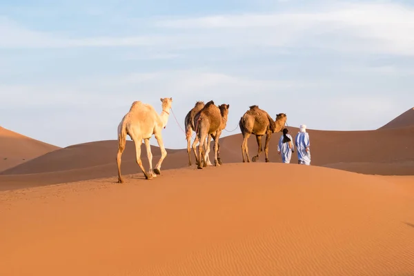 Marokko Erg Chegaga Oder Chigaga Ist Eine Saharanische Düne Bis — Stockfoto