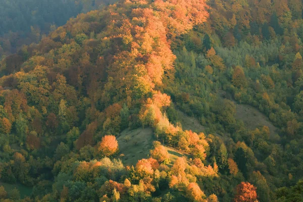 Piatra Craiului Національний Парк Осінній Сезон Румунія — стокове фото