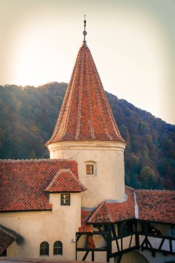 Bran Şatosu, Kraliçe Marie Romanya, Transilvanya adlı Villası