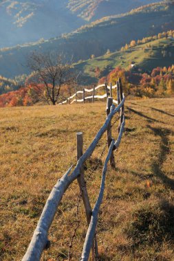 Avrupa, Romanya, Transilvanya, Karpatya Dağları, Magura, Piatra Craiului Ulusal Parkı.