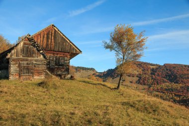 Avrupa, Romanya, Transilvanya, Karpat Dağları, Magura, Piatra Craiului Milli Parkı. Geleneksel Romen çiftlik.